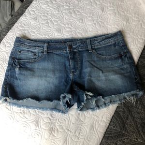 American Rag Jean Cutoff Shorts